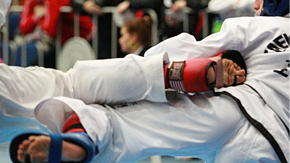 Фото: Федерация тхэквондо России