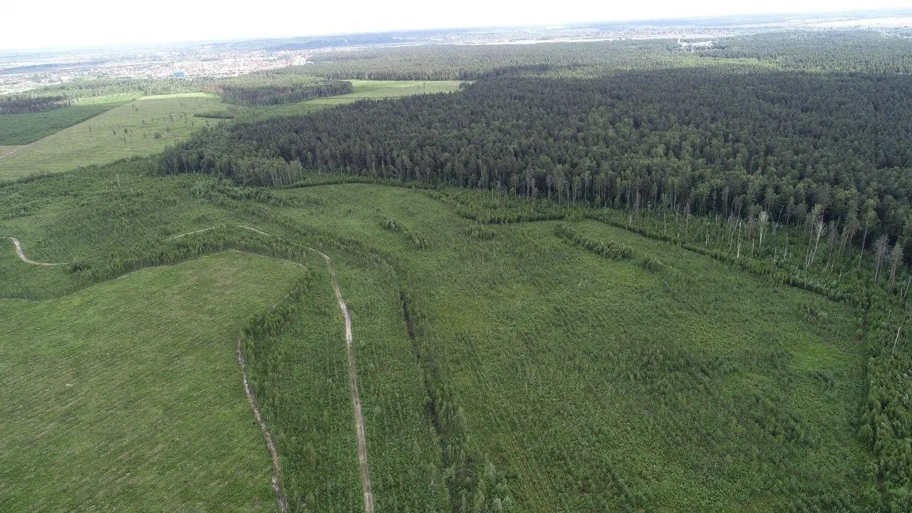 Комлесхоз МО