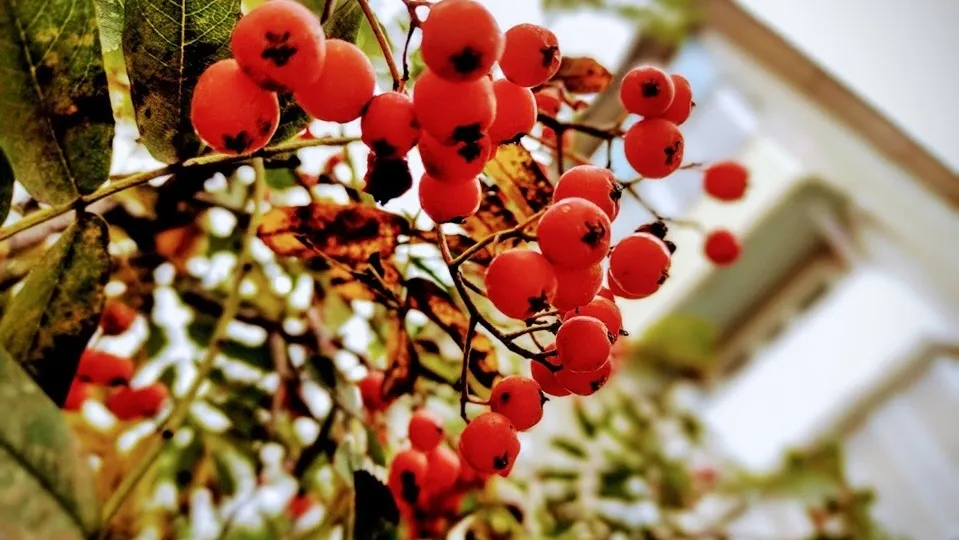 Фото: REGIONS/Алексей Селиверстов