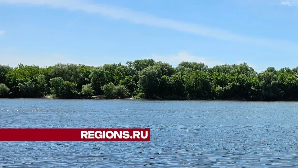 Фото: Александр Дрожжин