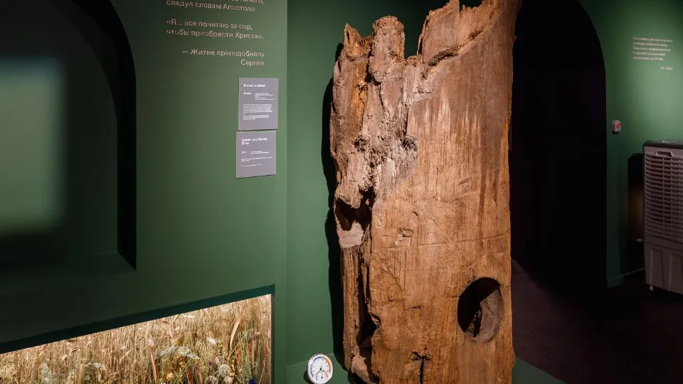 Фото: медиасток.рф