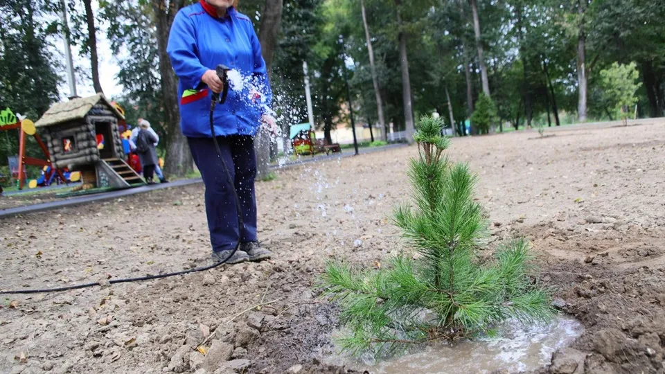 Фото: пресс-служба Администрации г.о. Воскресенск