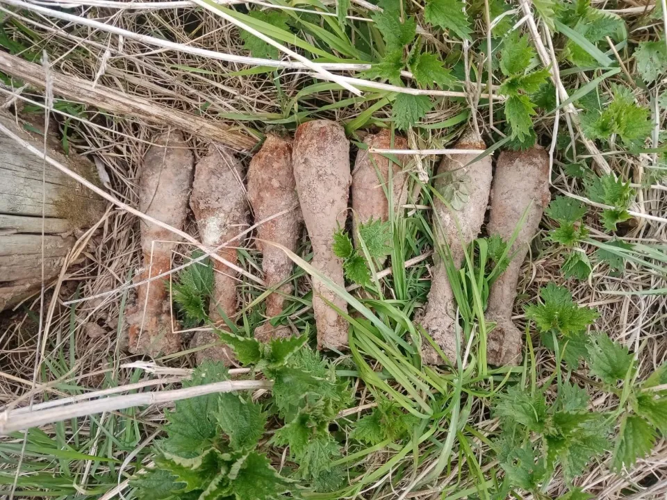 Фото: ГКУ МО «Мособлпожспас»