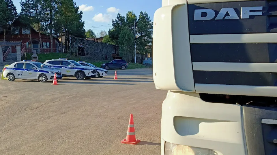 Фото: МедиаБанк Подмосковья/Евгения Герасимова