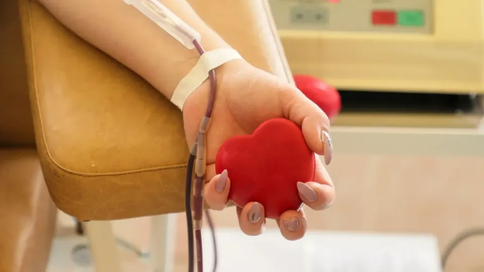 Фото: пресс-служба Волоколамской больницы