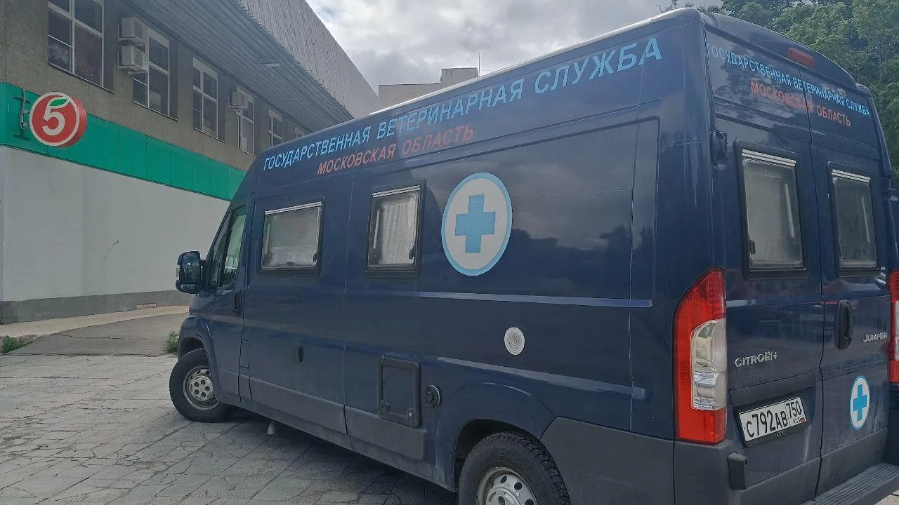 Фото: ветвакцинация по г. о. Черноголовка