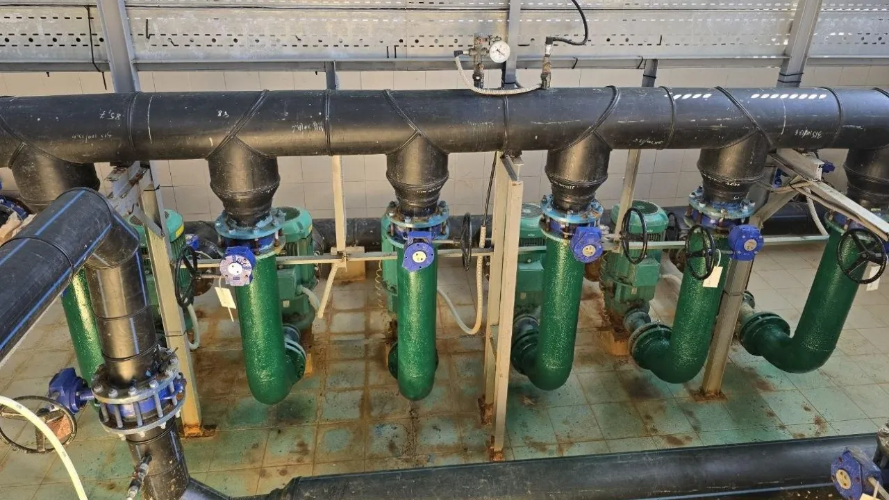 REGIONS/Яна Шаливская