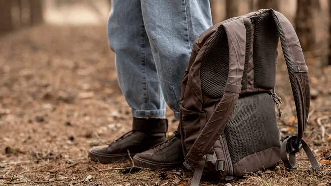 Фото: freepik.com