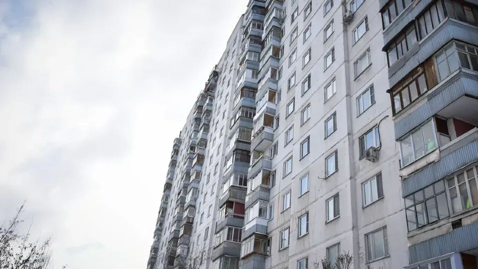 Фото: пресс-служба администрации г.о. Химки