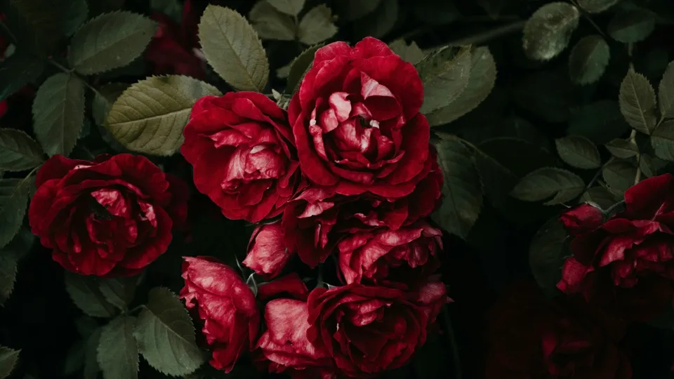 Фото: unsplash.com