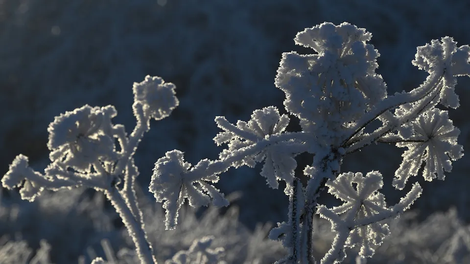 Фото: РИА Новости/Кирилл Каллиников