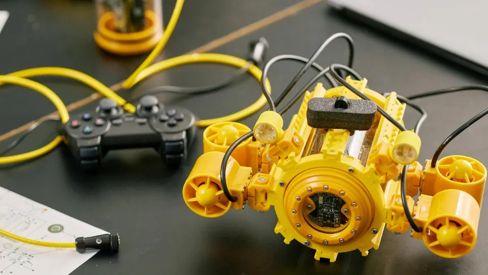 Фото: Министерство образования МО