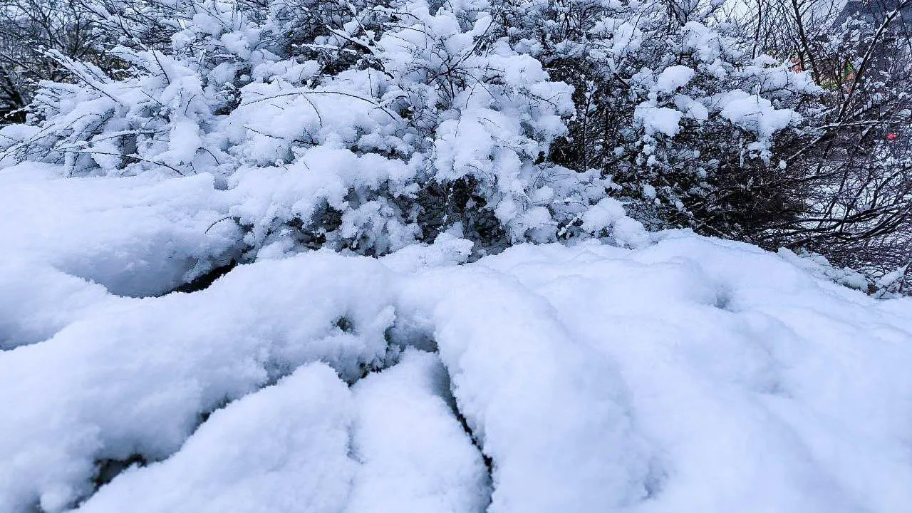 REGIONS/Роман Малышенко