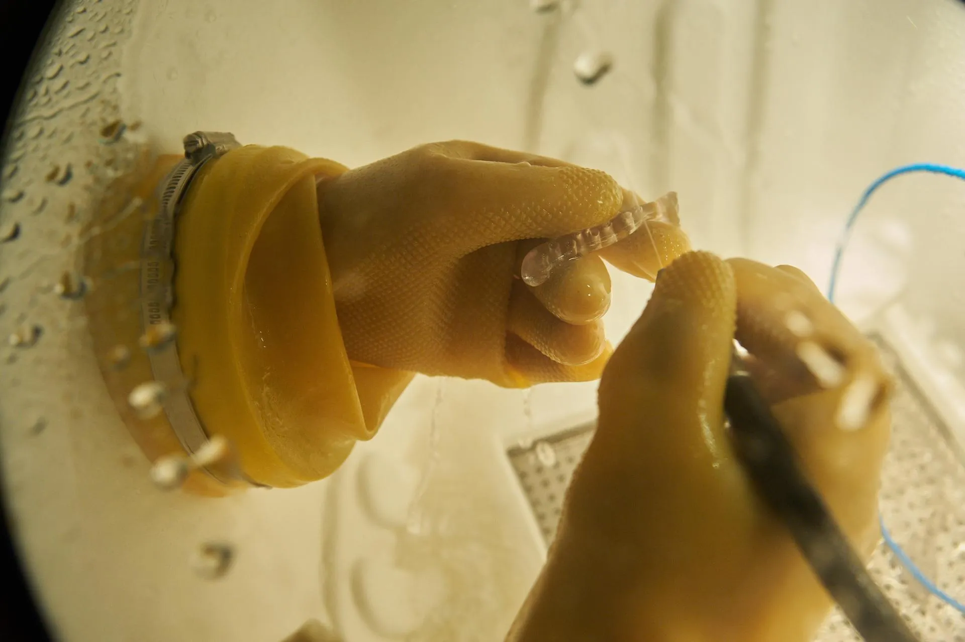 Пресс-служба департамента инвестиционной и промышленной политики Москвы