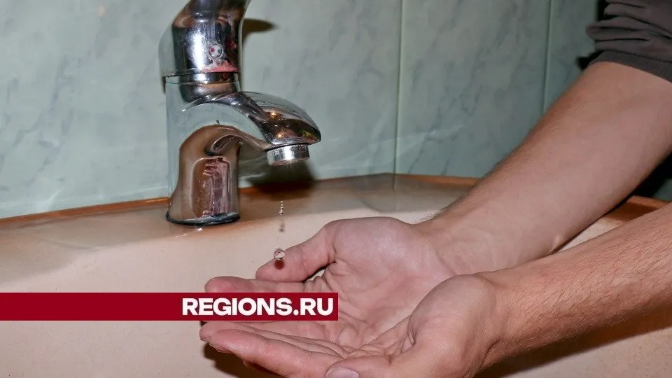 Фото: REGIONS/Александр Дрожжин
