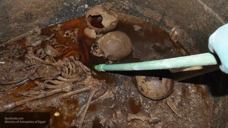 На севере Египта археологи нашли деревню времен неолита