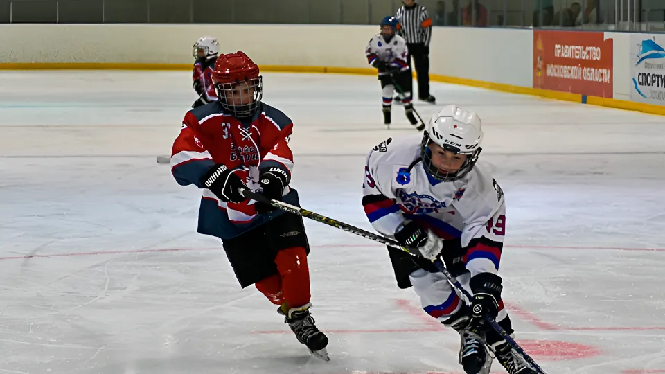 Фото: Зарайский ледовый спортивный комплекс