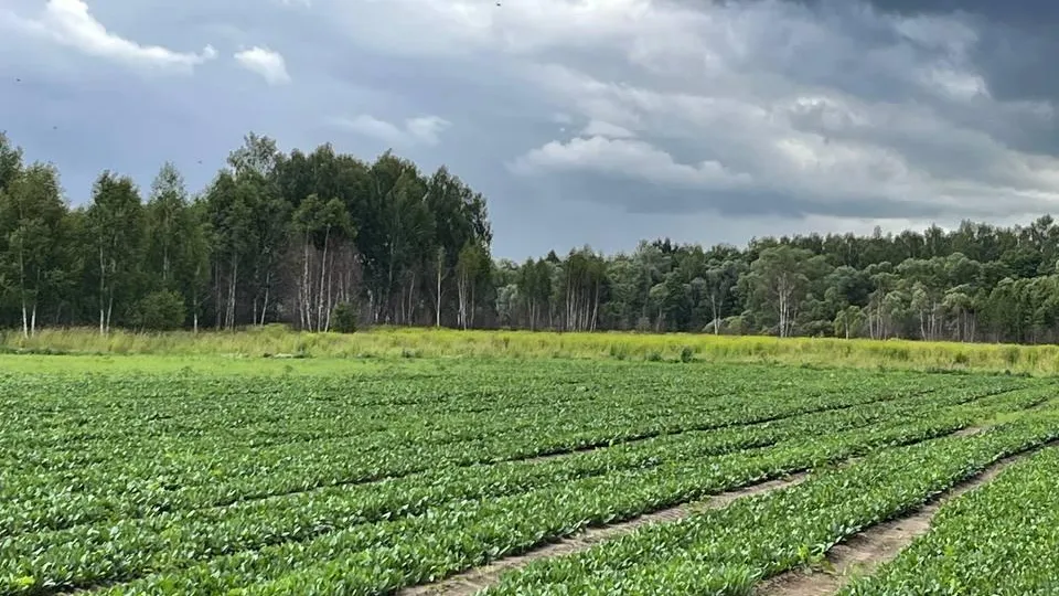 Фото: Андрей Семибратов