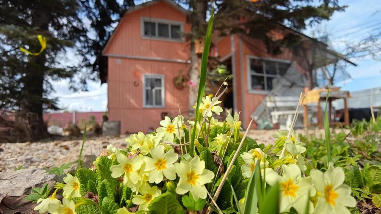 REGIONS/Алексей Селиверстов