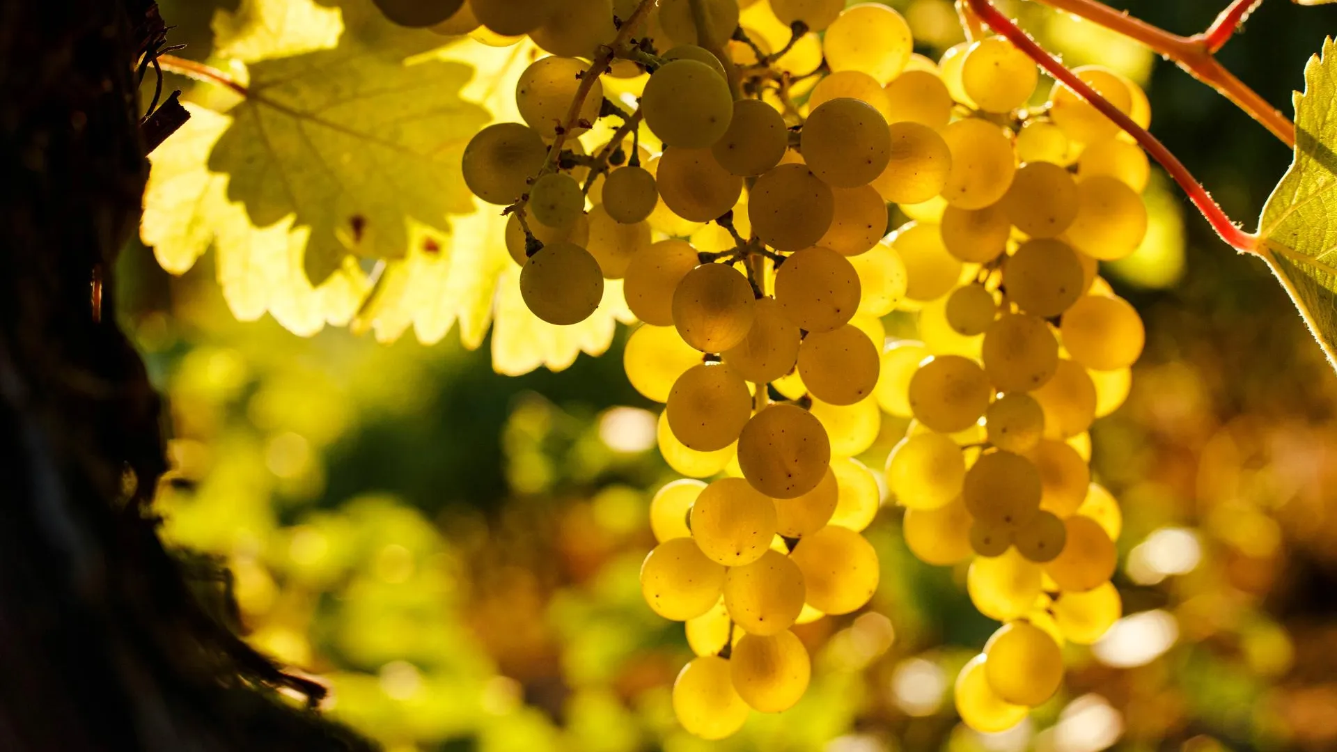 Serhii Hudak/ZUMAPRESS.com