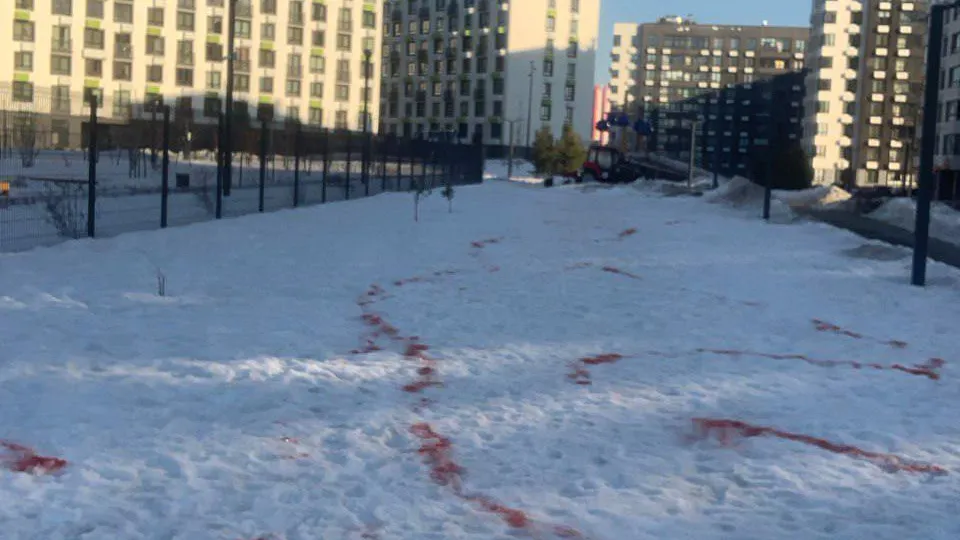 Фото: телеграм-канал Красногорск