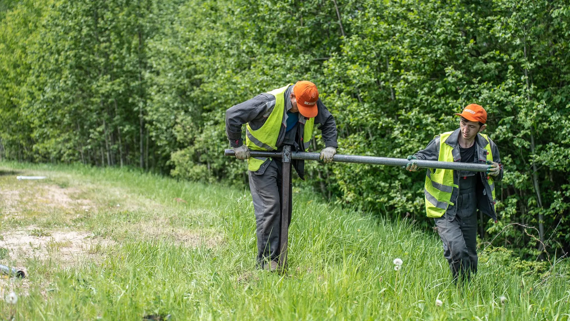 Фото: Минтранс Подмосковья