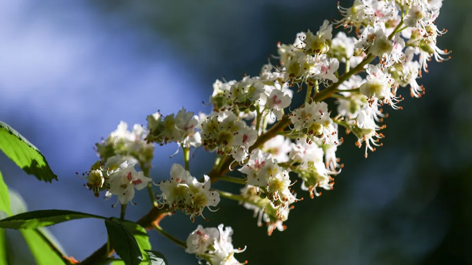 Фото: ТАСС/Михаил Терещенко