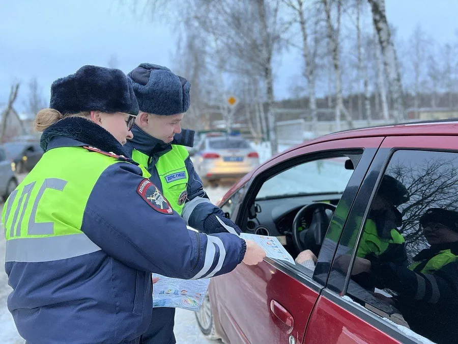 Фото: Госавтоинспекция Дмитровского городского округа.