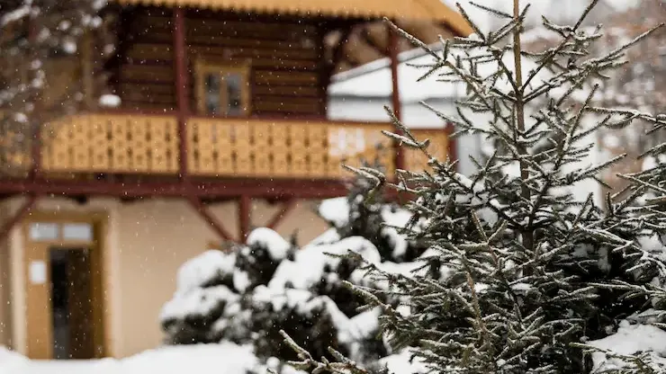 Фото взято с ru.freepik.com