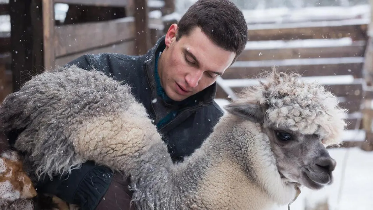 REGIONS/Сгенерировано нейросетью