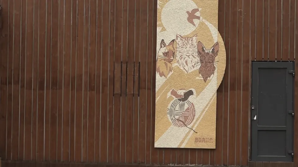 Фото: пресс-служба администрации г.о. Дубна