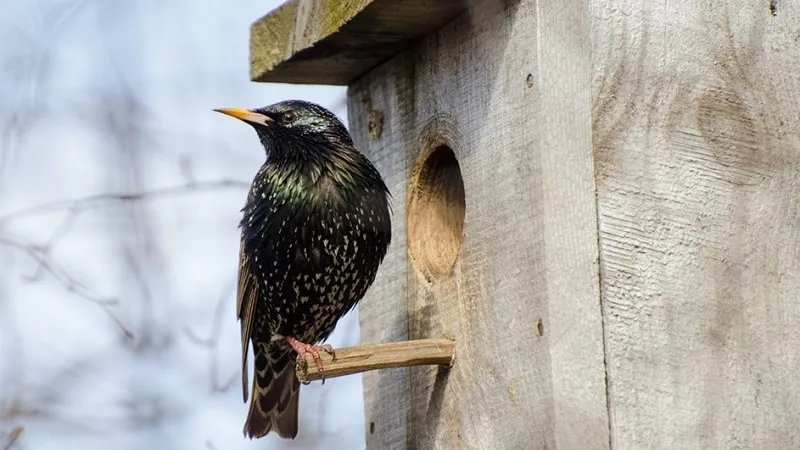 Фото: Анна Евсеева