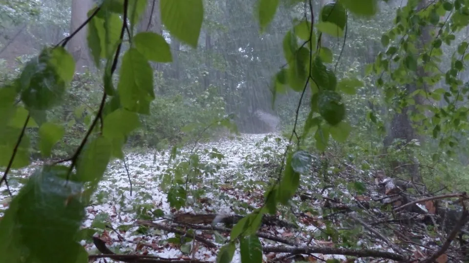 Фото: pxhere.com