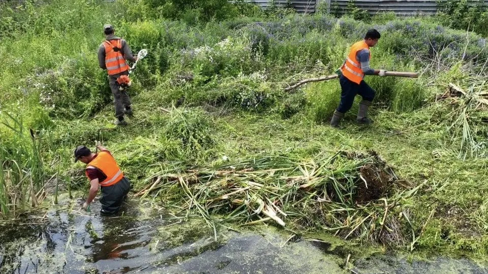 Фото: пресс-служба администрации г.о. Люберцы