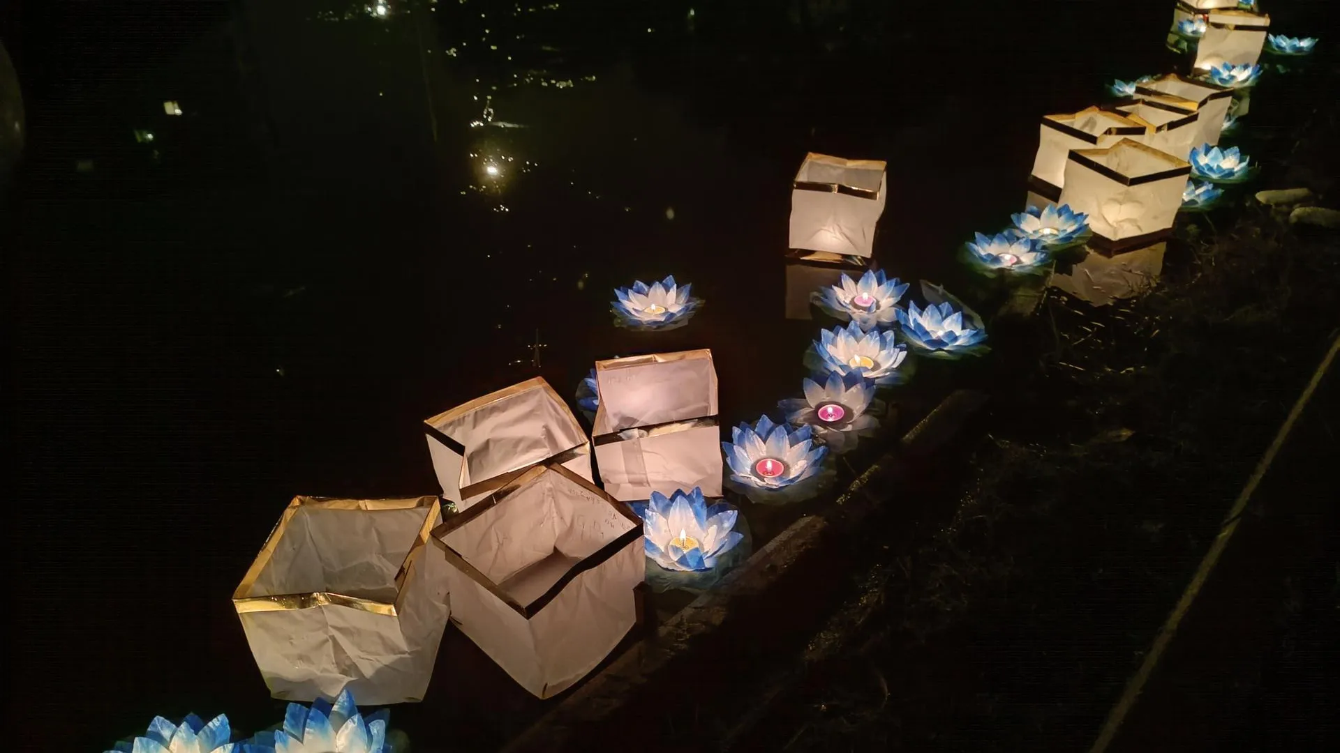 Екатерина Дятловская