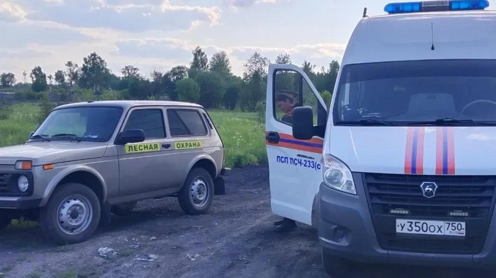 Свыше ста человек заблудились в лесах Подмосковья за две недели