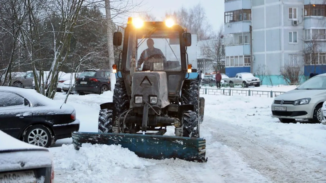 фото Собакин Official / telegram