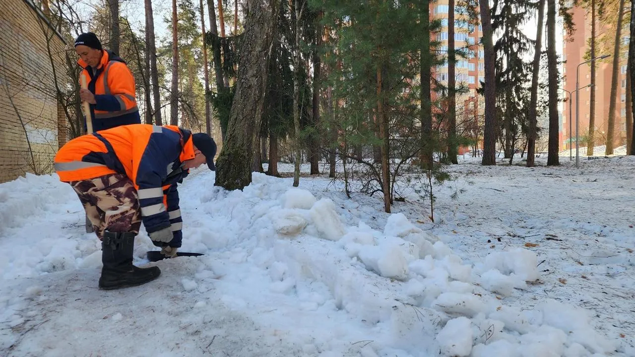 REGIONS/Анна Мороз