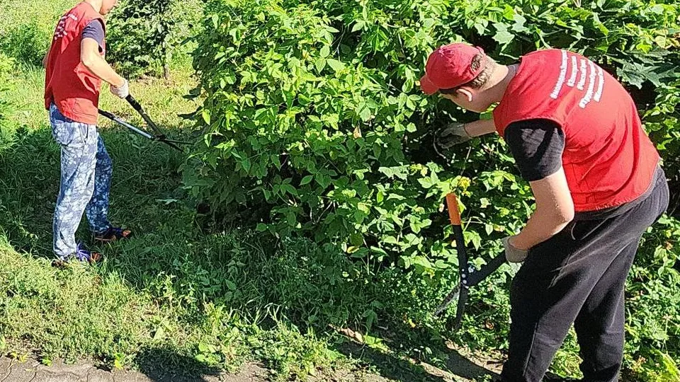 Фото: Нина Басистая