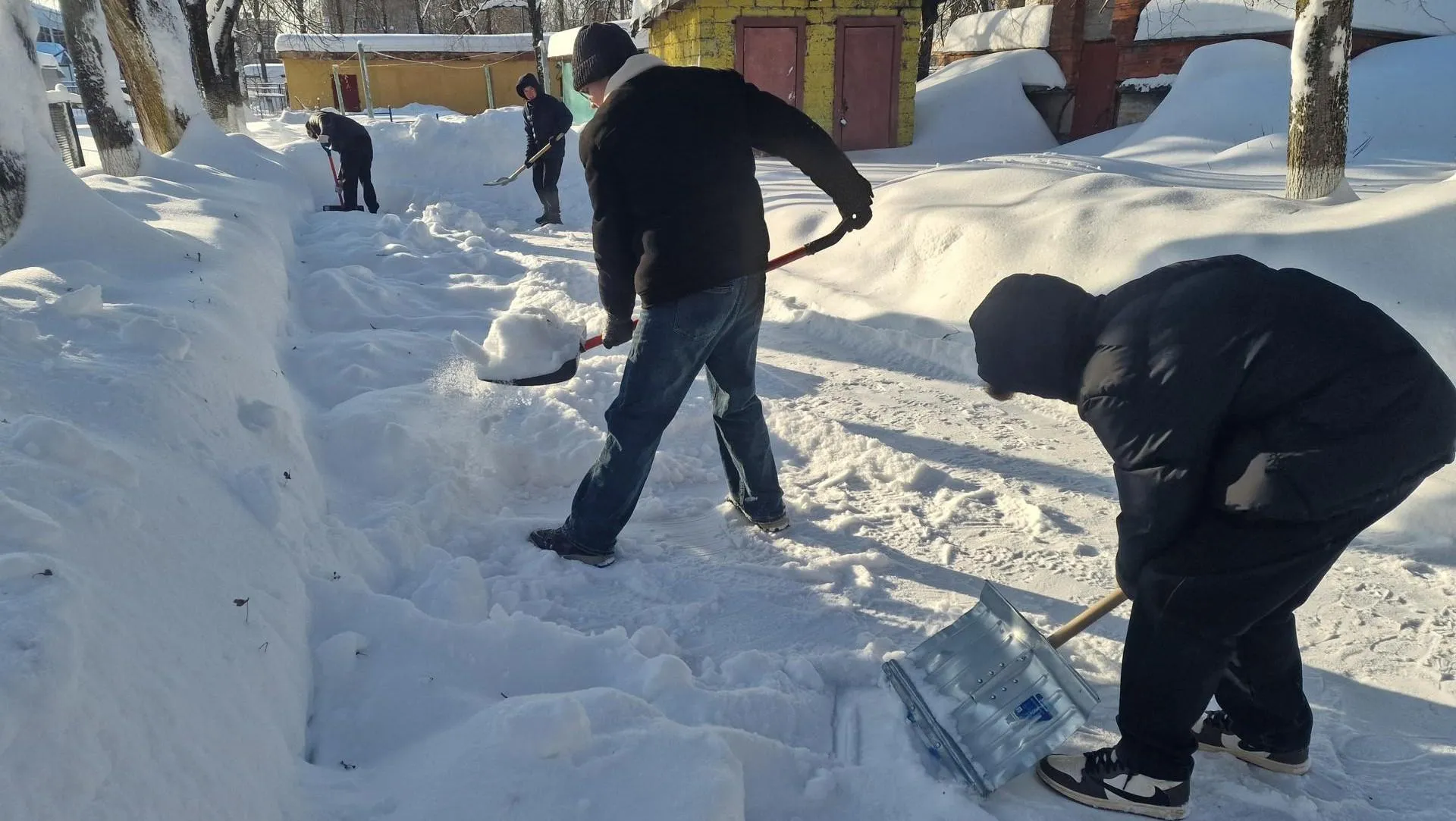 REGIONS/Ольга Шаронова