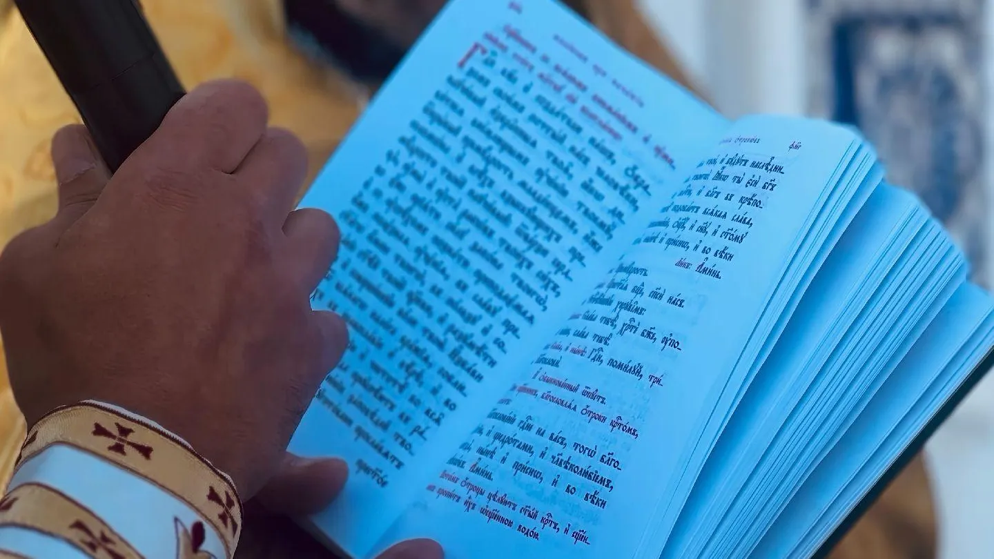 МедиаБанк Подмосковья/Ольга Стаферова