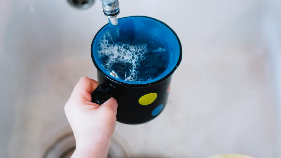 Фото: freepik.com