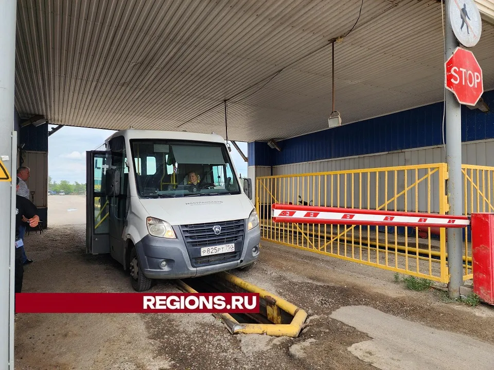 Фото: Светлана Плотникова