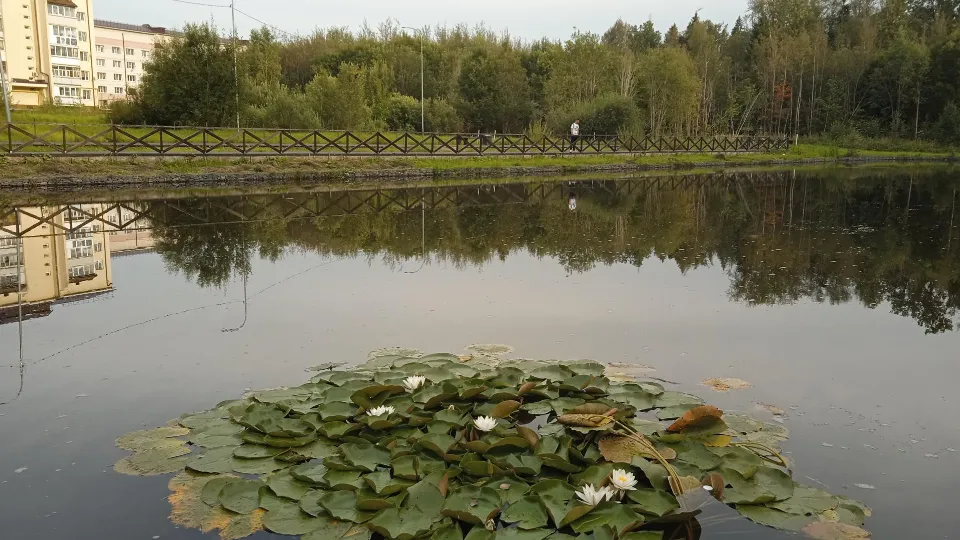 Фото: МедиаБанк Подмосковья/Анастасия Новак