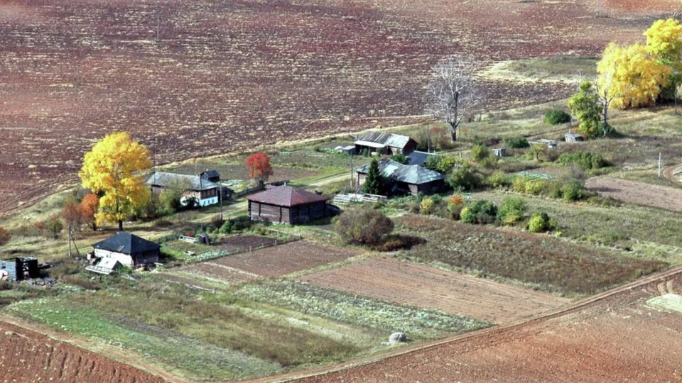 Фото:  РИА Новости/Станислав Шаклеин