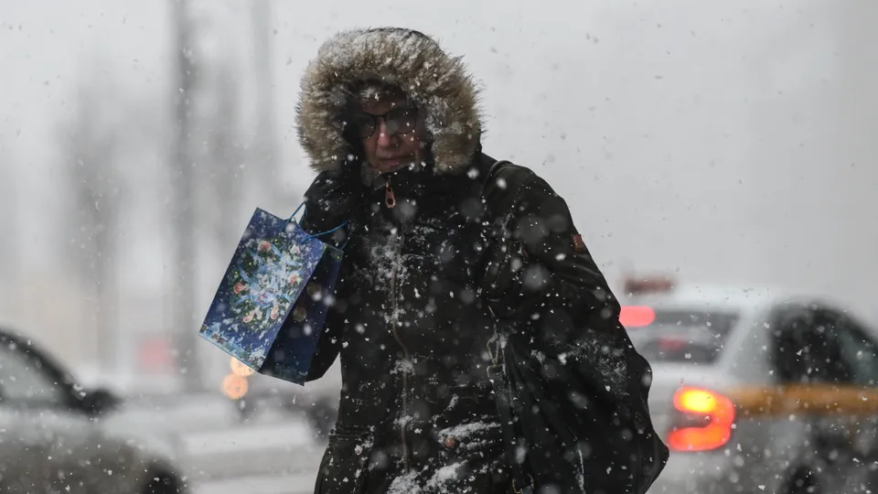 Фото: медиасток.рф