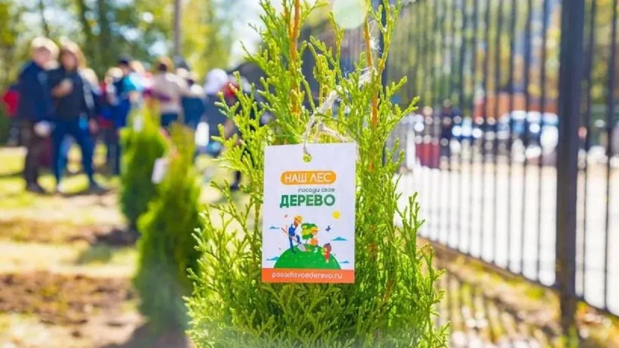 Фото: ИА «Все новости Лыткарино»