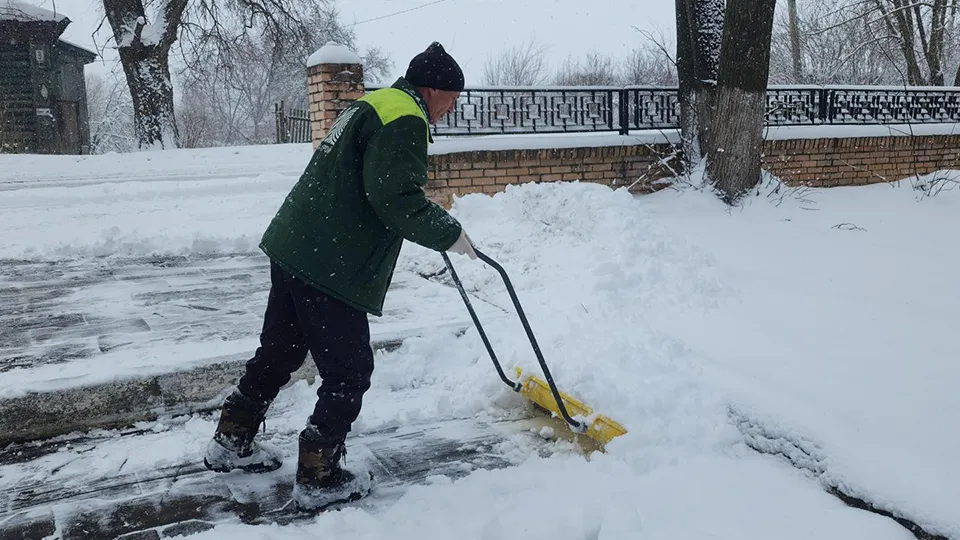 Фото: МедиаБанк Подмосковья/Дмитрий Беденко