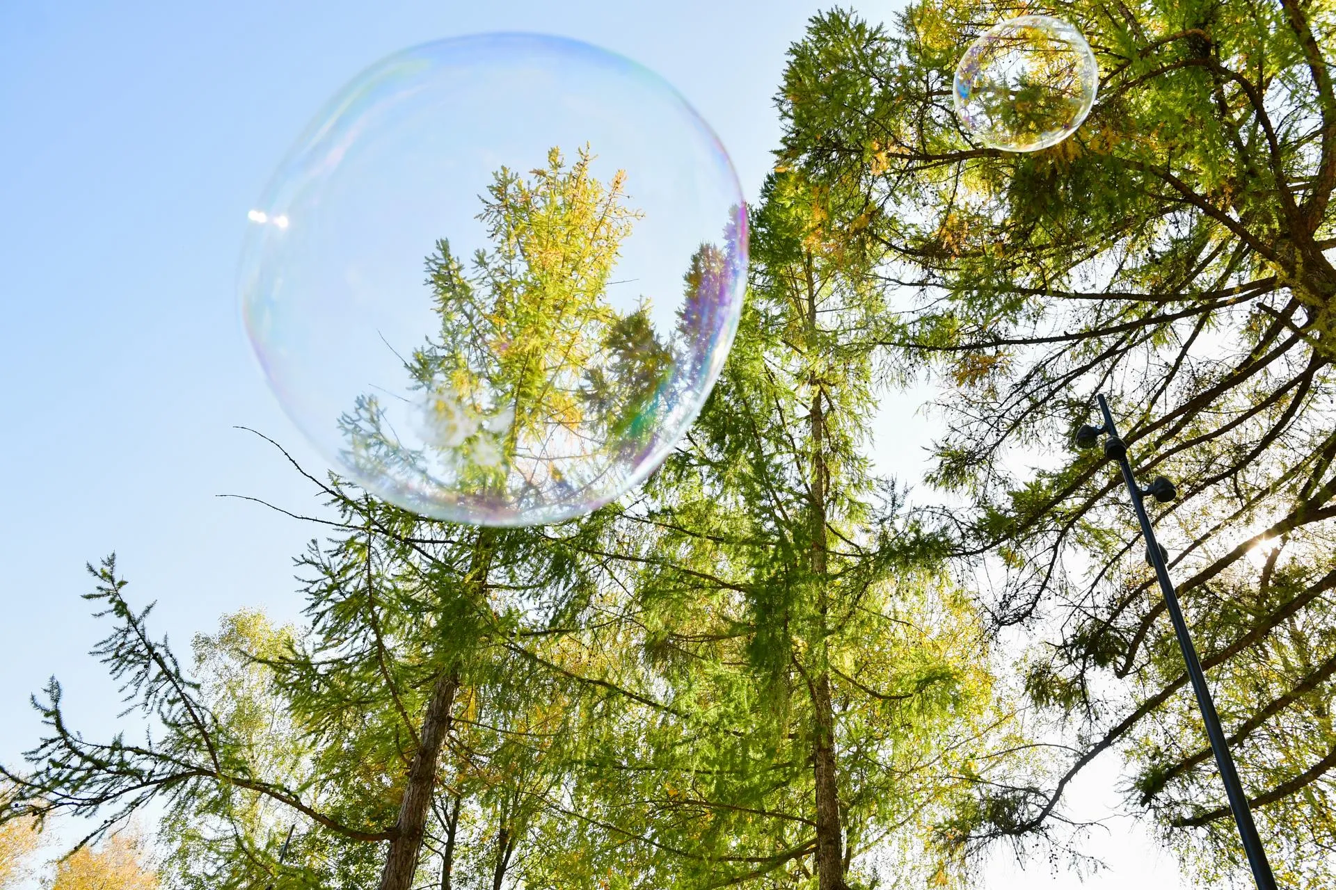 Фото: Наталья Бычкова/Ступинская панорама