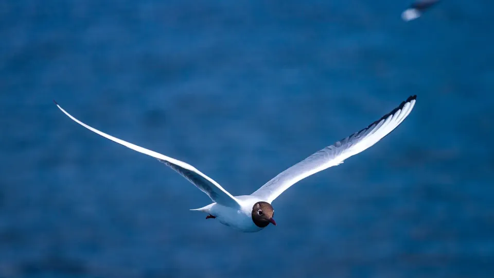 Фото: REGIONS/Владимир Ерастов